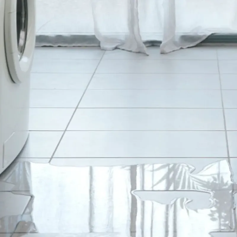 Appliance Leak Cleanup in Crocker, WA