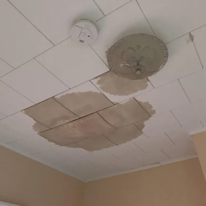 Ceiling Water Damage Repair in Crocker, WA