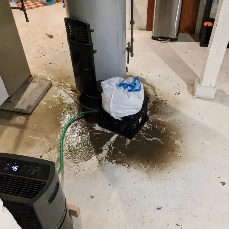 Sewage Backup Cleanup Service in Crocker, WA